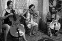 2009-08-02-cello-in-the-round-01